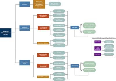 Molecular and genetic targets within metastatic colorectal cancer and associated novel treatment advancements